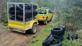 Els ADF denuncien l'abocament de 151 pneumàtics a la zona del Puig Cargol de Palamós