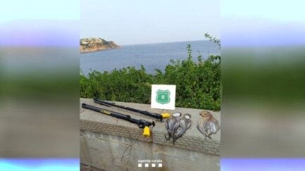 Els Agents Rurals denuncien un home per pescar quatre pops roquers en època de veda