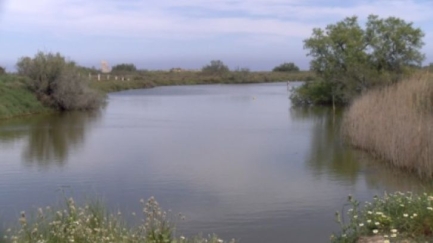 Els Agents Rurals interposen 77 denúncies durant l'estiu al Parc Natural del Montgrí
