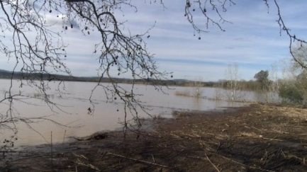 Els camps negats i els pagesos sense poder treballar, una setmana després del temporal