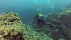 Els centres d'immersió de les Medes són premiats pel seu compromís amb la sostenibilitat
