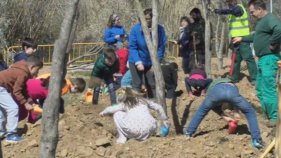 Els escolars de Calonge i Sant Antoni planten vida a la Festa de l'Arbre