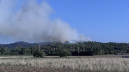 Els incendis i les plagues forestals podrien duplicar-se a finals d'aquest segle