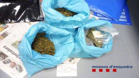 Els Mossos desmantellen un punt de distribució de marihuana a Torroella de Montgrí