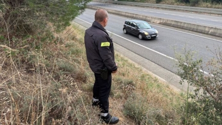 Els Mossos d'Esquadra augmenten la vigilància amb unitats d'espiell