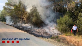 Els Mossos d’Esquadra detenen  un home per causar 4 incendis a la zona de Vilopriu