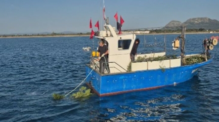 Els pescadors de l’Estartit instal·len les sepieres del Projecte Sèpia