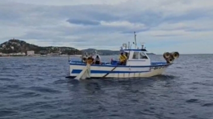 Els pescadors de sonso gironins alerten que 