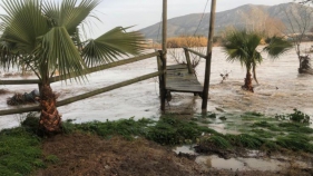 Els productors de poma demanen una resposta adequada al temporal per seguir sent referents