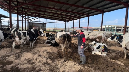 Els ramaders gironins es preparen per tornar a moure bestiar amb normalitat