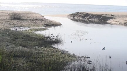 Exigeixen mesures arran de l'abocament d'aigües brutes de la depuradora al riu Ridaura