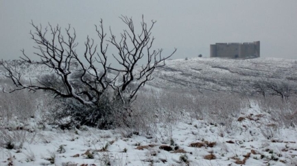Fa vuit anys que no es veuen caure volves de neu a l'Estartit