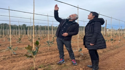 Flexibilitzen les restriccions d'aigua al sector agrari si en fan un ús eficient