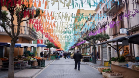 Flors i Violes passat per aigua però amb gran participació