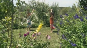 Herbes Remeieres al Jardí de l'Ànima