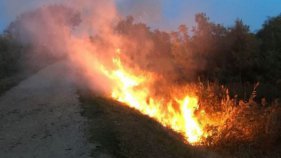 Incendi d'un canyissar a la Gola del Ter