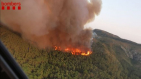 Un incendi forestal afecta el Massís del Montgrí