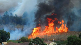 Un incendi calcina 16 hectàrees al Ter Vell
