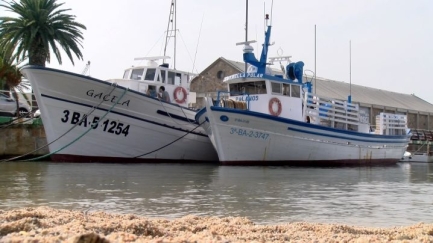 Inicia l'activitat 'Experts a Bord' a les Barques del Peix
