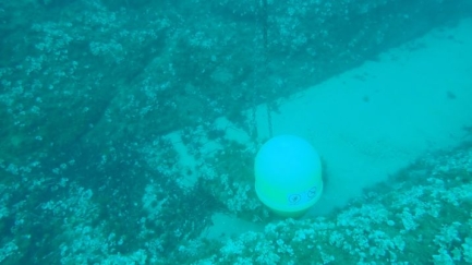 Investigació oberta pel sabotatge de 12 boies entre Palamós i Mont-ras