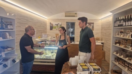 La Bisbal impulsa noves auditories comercials per reforçar i modernitzar el comerç local