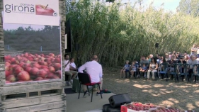 La collita de Poma de Girona creix un 12%