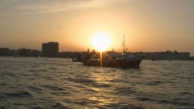 La Confraria demana que més embarcacions s'apuntin al Pescaturisme