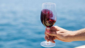 La DO Empordà posa a la venda online 360 vins de la denominació