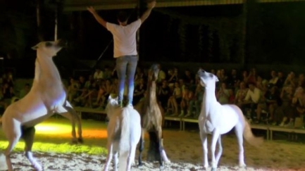 La Mar de libre, l'espectacle de Santí Serra Camps a La Santa Market