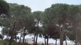 La neu s'ha fet notar breument a la Costa Brava