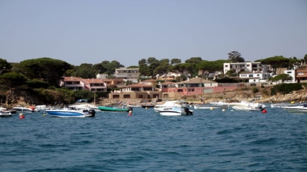 La pesca recreativa sense llicència a Catalunya és inferior al 10%