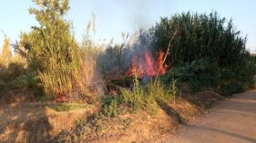 La Policia Local deté dos joves com a presumptes autors d'un incendi a Palafrugell