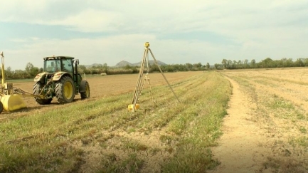 La sequera i les restriccions d'aigua fan perillar els cultius d'arròs
