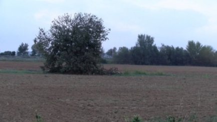 La Tallada d'Empordà organitzarà una consulta sobre el projecte d'aerogeneradors