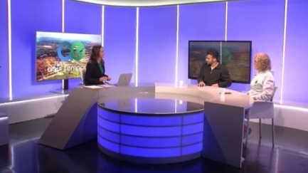 La Vall d'Aro Run Series arrencarà el diumenge 3 de maig amb 'La Lineal'