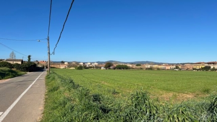 L'ACA finançarà la bassa de laminació del rec del Raig per reduir el risc d'inundacions