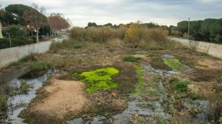 L'ACA i la Diputació de Girona treballen per la millora i conservació del Ridaura