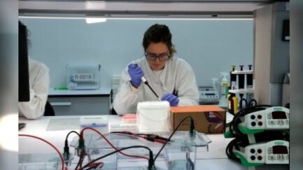 L'atur puja un tímid 0,45% al desembre a les comarques gironines