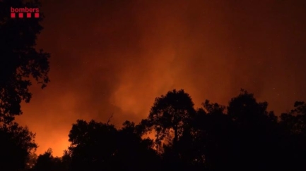 L’empresa preveia fer servir una serra manual abans de l’incendi de les Gavarres