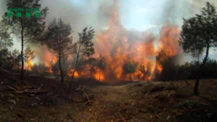 Les campanyes preventives salven els boscos dels incendis forestals