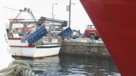 Les confraries de Palamós, Roses i Blanes s'uneixen per una pesca més sostenible