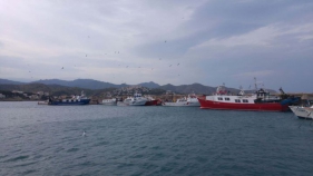 Les confraries de pescadors gironines es consoliden en el model català de gestió pesquera