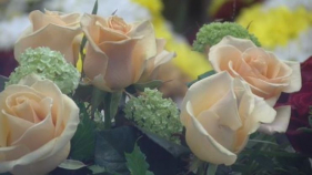 Les floristeries preveuen una bona campanya de Tots Sants