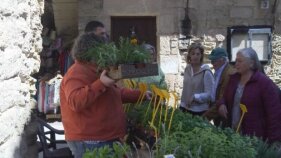 Les herbes omplen Peratallada en format de fira