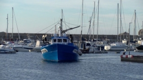 Les teranyines tornen a la mar després de dos mesos de veda biològica