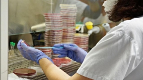 L'Hospital de Palamós ja analitza testos PCR ràpids