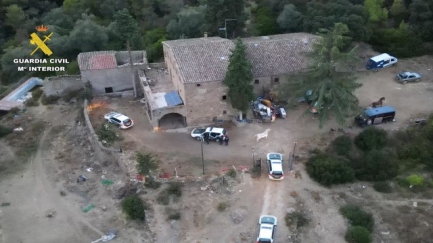 Més de 1.500 plantes de marihuana amagades enmig del bosc i un detingut de 84 anys.