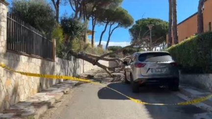 Més de 200 avisos i 300 trucades d'emergència al Baix Empordà durant l'episodi de vent