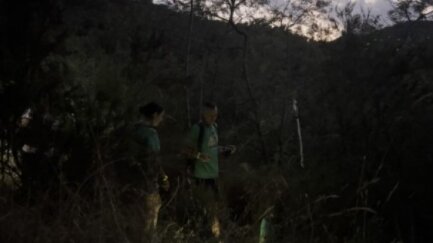 Més de 400 ganxons gaudeixen de la natura amb La Nocturna i la Cuca de Llum