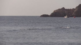 Mor un pescador a Sant Feliu arrossegat per un cop de mar